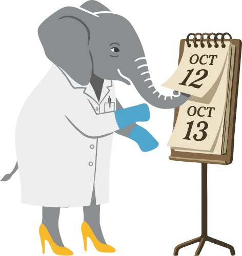 Callie the elephant doctor reviewing a clinical calendar. Loop reading the patient case before it dials.